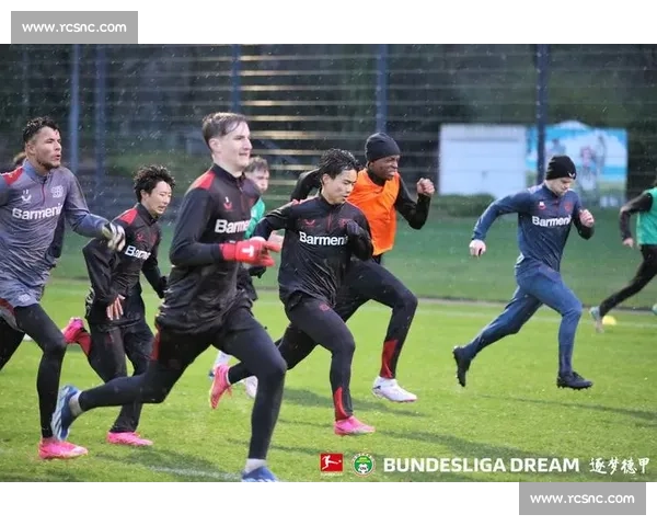 德甲足球联赛发展特点与竞争格局演变趋势及商业化与青训体系变革研究